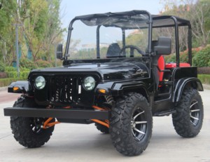 <strong>200cc</strong> Automatic Gasoline Side-by-Side <strong>UTV</strong> with Chain Drive Transmission 4 Stroke Engine Max Speed up to 65km/h - Product Image 3