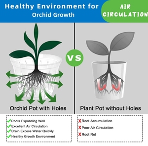 Repotting için 7 inç orkide tencere, delik ve tabaklar ile temizle orkide Pot, nefes alabilen oluklu orkide yetiştiricileri - Product Image 2