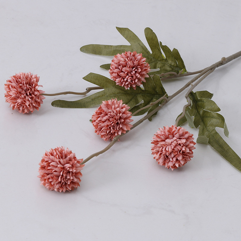 5 small ball chrysanthemums - Autumn Coffee color