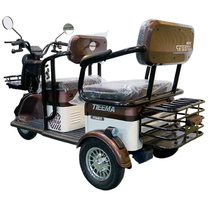 Sell well adult fallow Ride instead of walking Carry cargo electric three wheeler