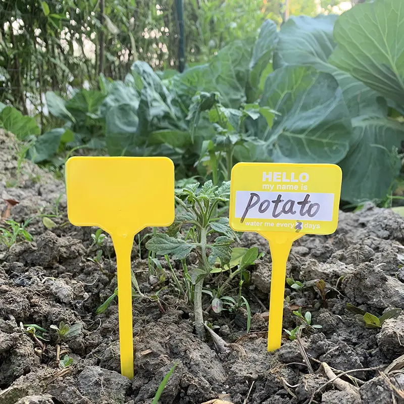 Venda quente PP plástico colorido jardim plantas rótulos personalizados plantas flores tags marcadores