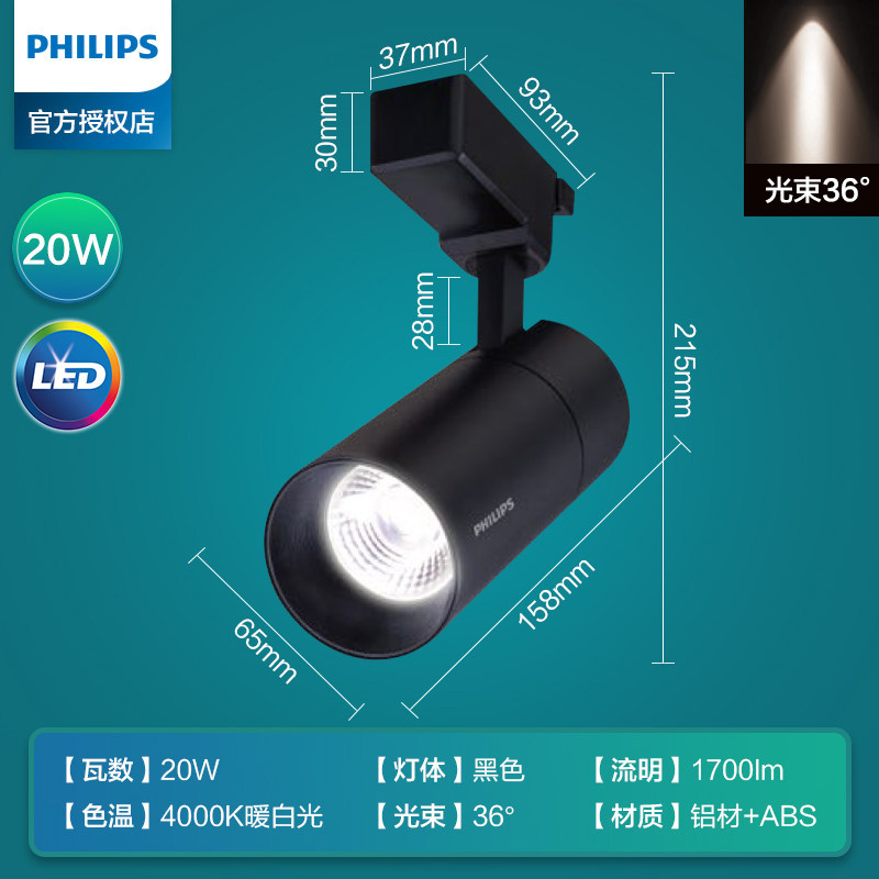 Black casing 20W neutral light 4000K