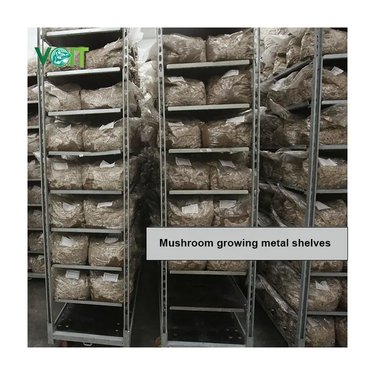 Étagères métalliques de culture de champignons réglables pour pépinière VOIT