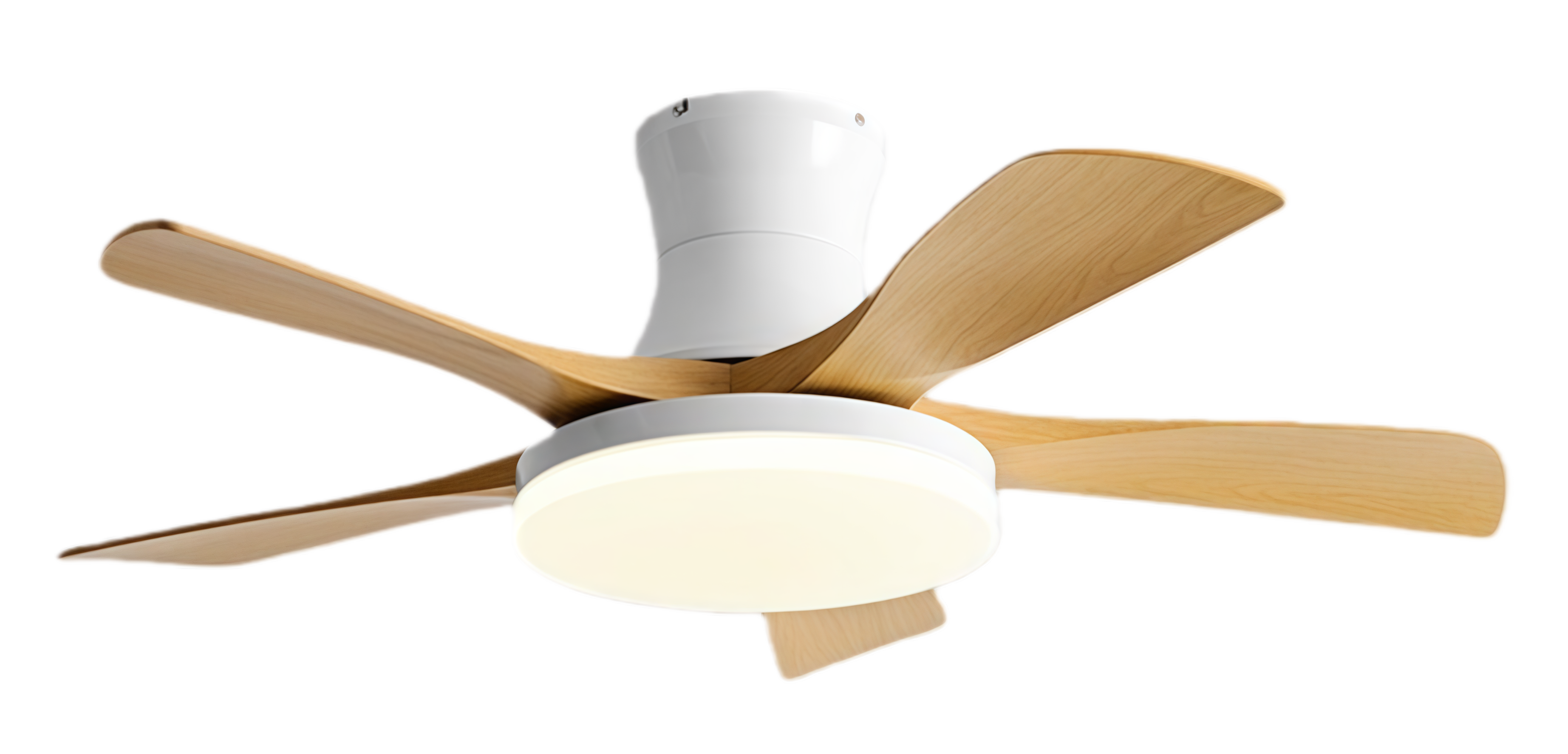 Grain de bois blanc