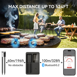 无线智能蓝牙肉温度计，带2个探头500英尺远程跟踪，适用于烧烤、烤架、烤箱、吸烟者、烤肉店