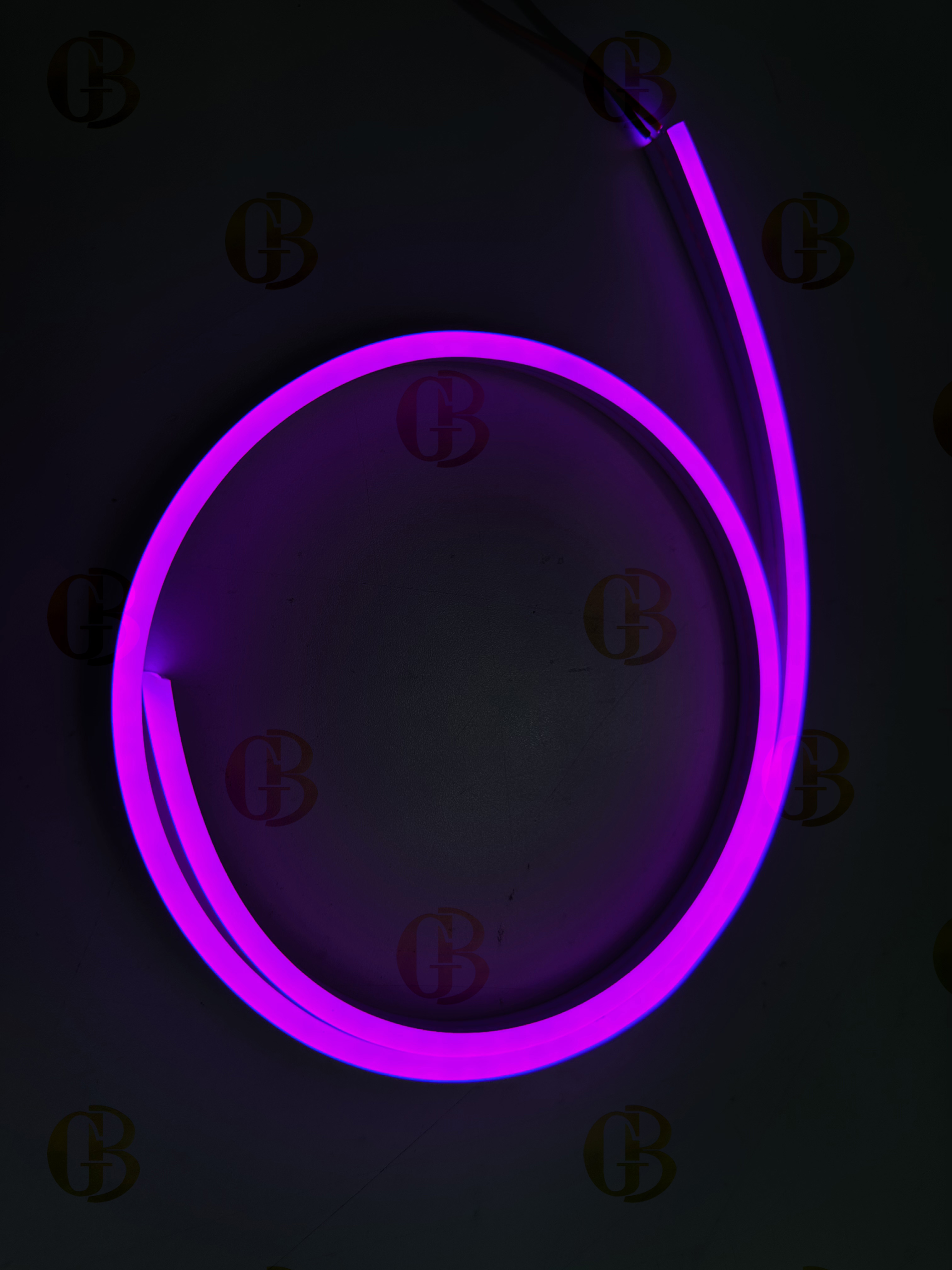 Pourpre