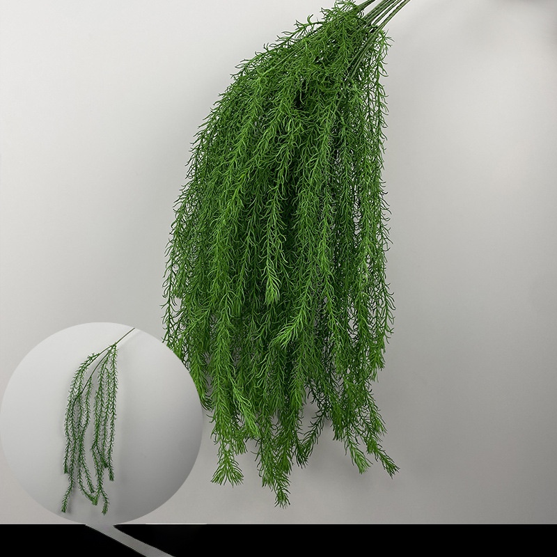 Plantes vertes suspendues, saule et pin.