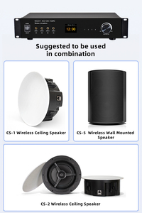 Profession eller 16-Kanal-Stereo-Audioverstärker 4-Zonen-Strom versorgung mit Wifi BT & Airplay für Hintergrund musik mit mehreren Räumen - Product Image 2