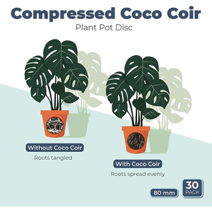המתנע זרע שתיל נביטת להרחבה קוקו כבול קוקוס Coir קוקו דיסקים