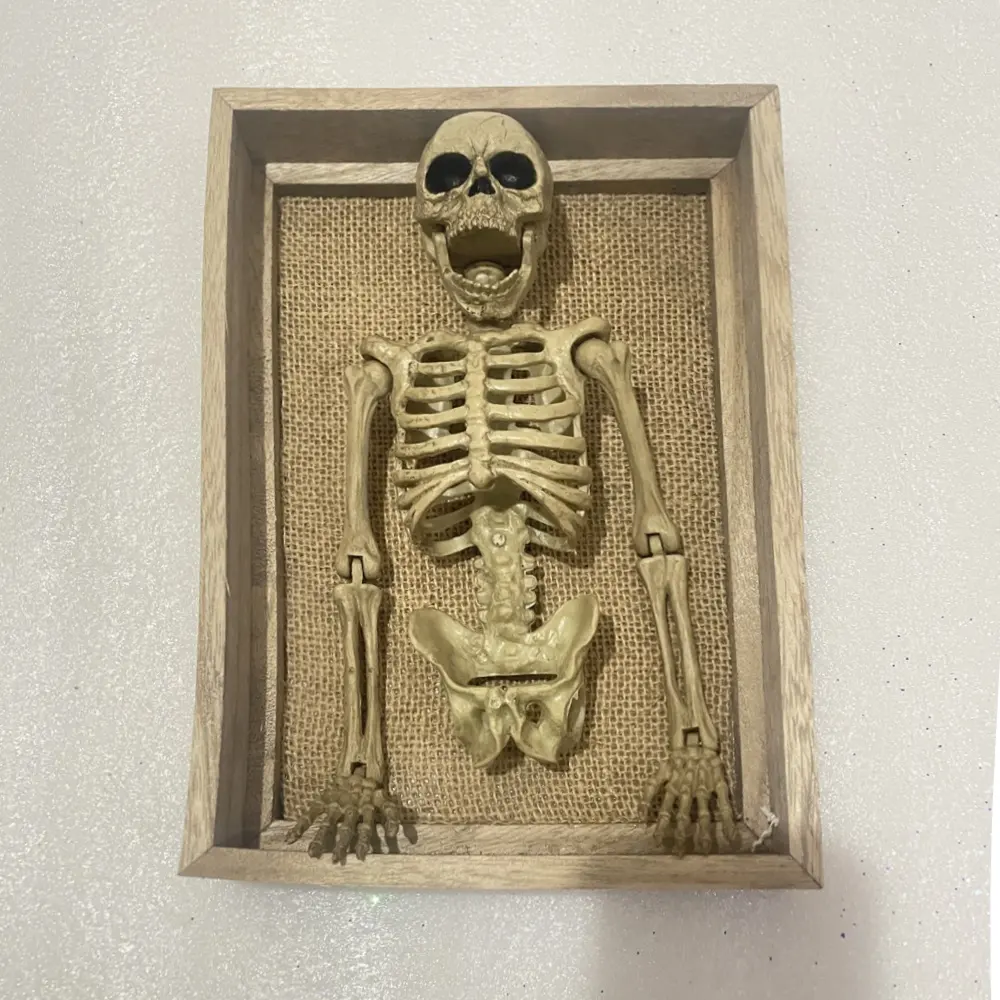 2023 nuovi ornamenti all'ingrosso cornice in legno scheletro umano modello scheletro umano decorazioni di Halloween