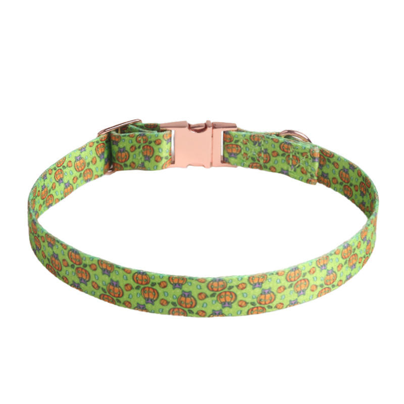 Citrouille chauve-souris