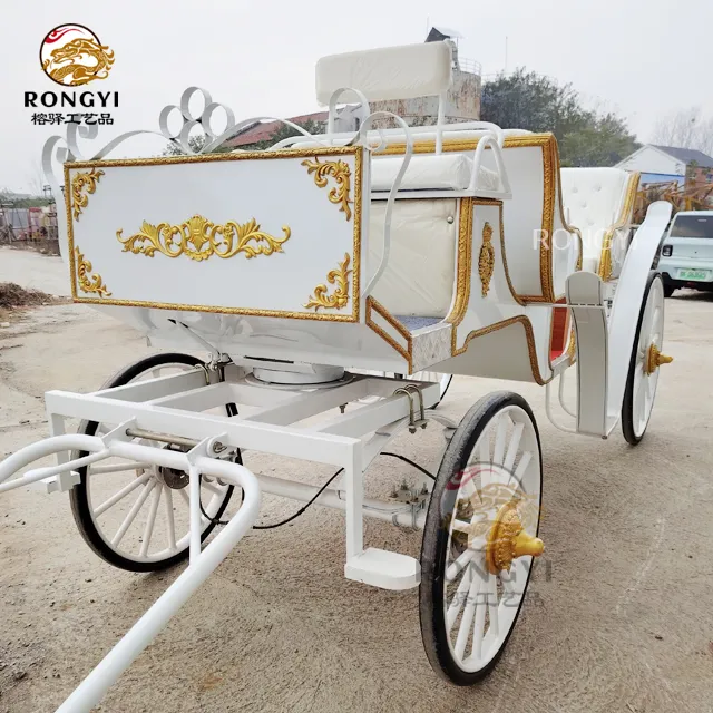 Sierlijke Pompoen Cinderella Coach/Witte Koningin Cinderella Pompoen Sightseeing Paardenkoets/Dromerige Bruiloft Prinses Buggy