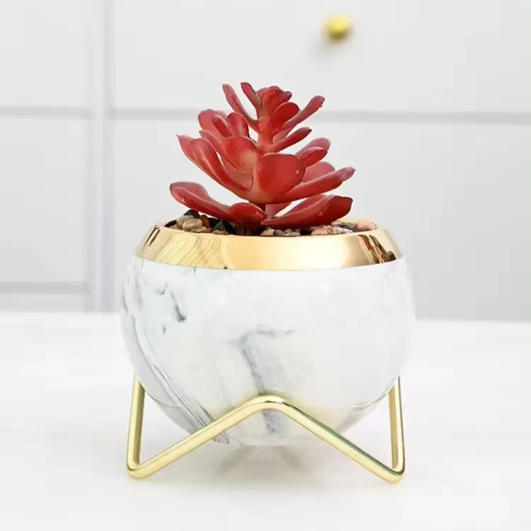 Nuovo stile nordico in ceramica oro bordato palla rotonda succulenta ferro arte piccolo vaso per piante