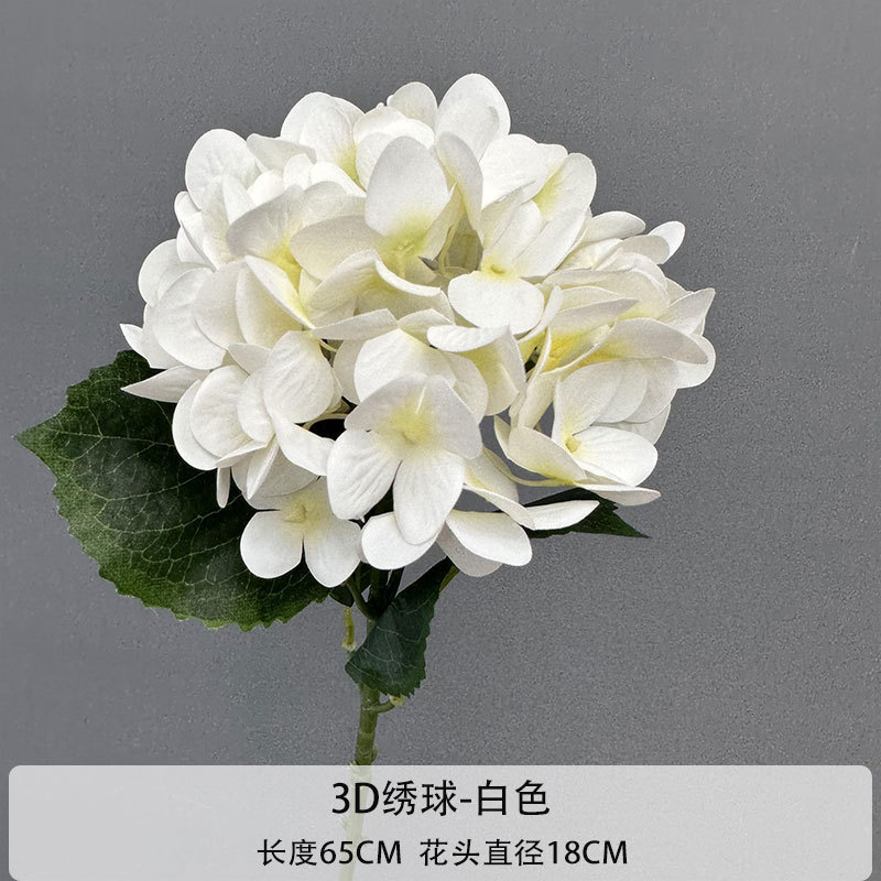 Hortensia 3D