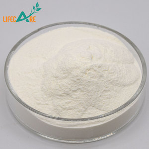 100% Pure and Natural High Quality Probiotics Streptococcus Thermophilus Powder - Product Image 3
