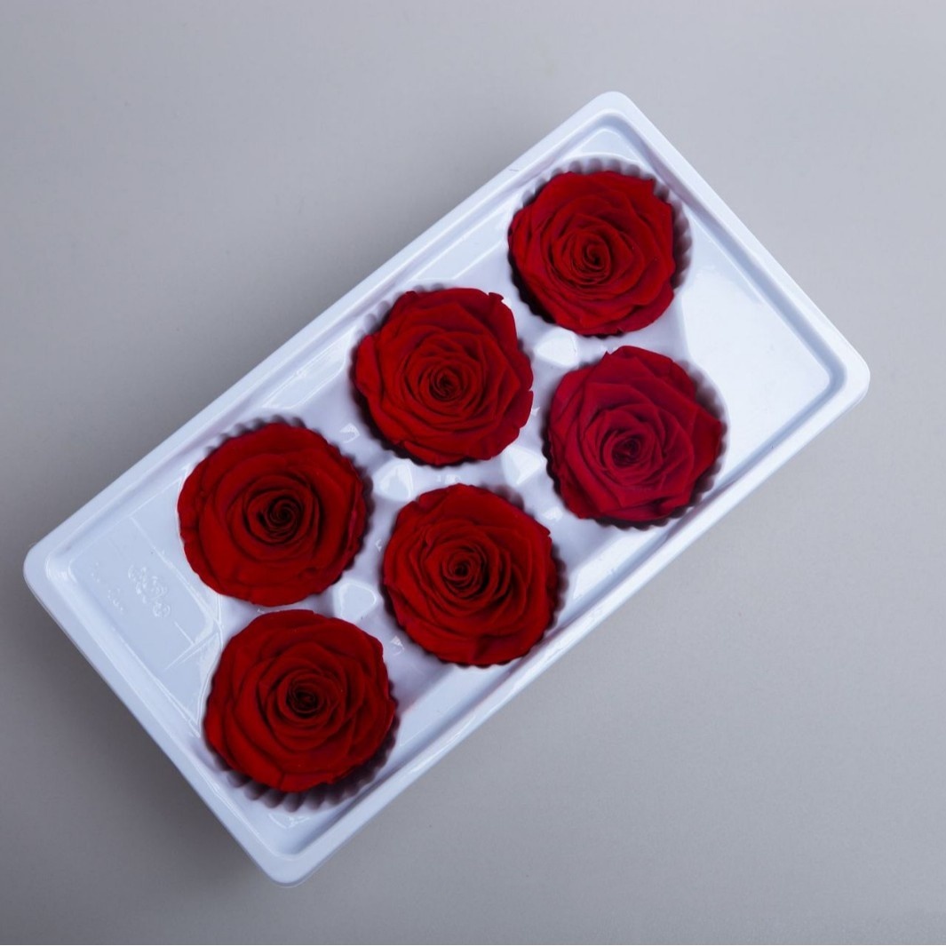Burgundy 5-6cm
