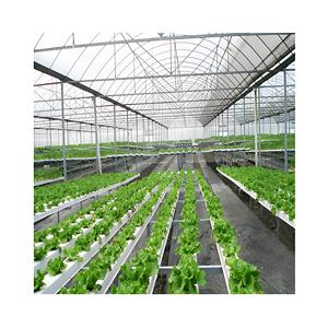 室外温室金属框架农业农业商业大型多跨度塑料植物温室