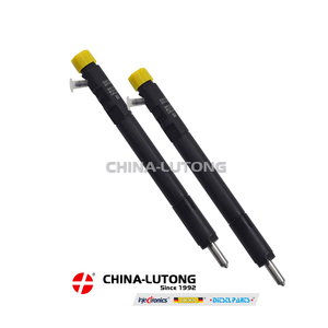 Delphi SSANGYONG 04601D SSANGYONG 02601z EJBR 04601D için yüksek kaliteli Common Rail memesi SSANGYONG REXTON için 2.7 XDI 163 165 - Product Image 5