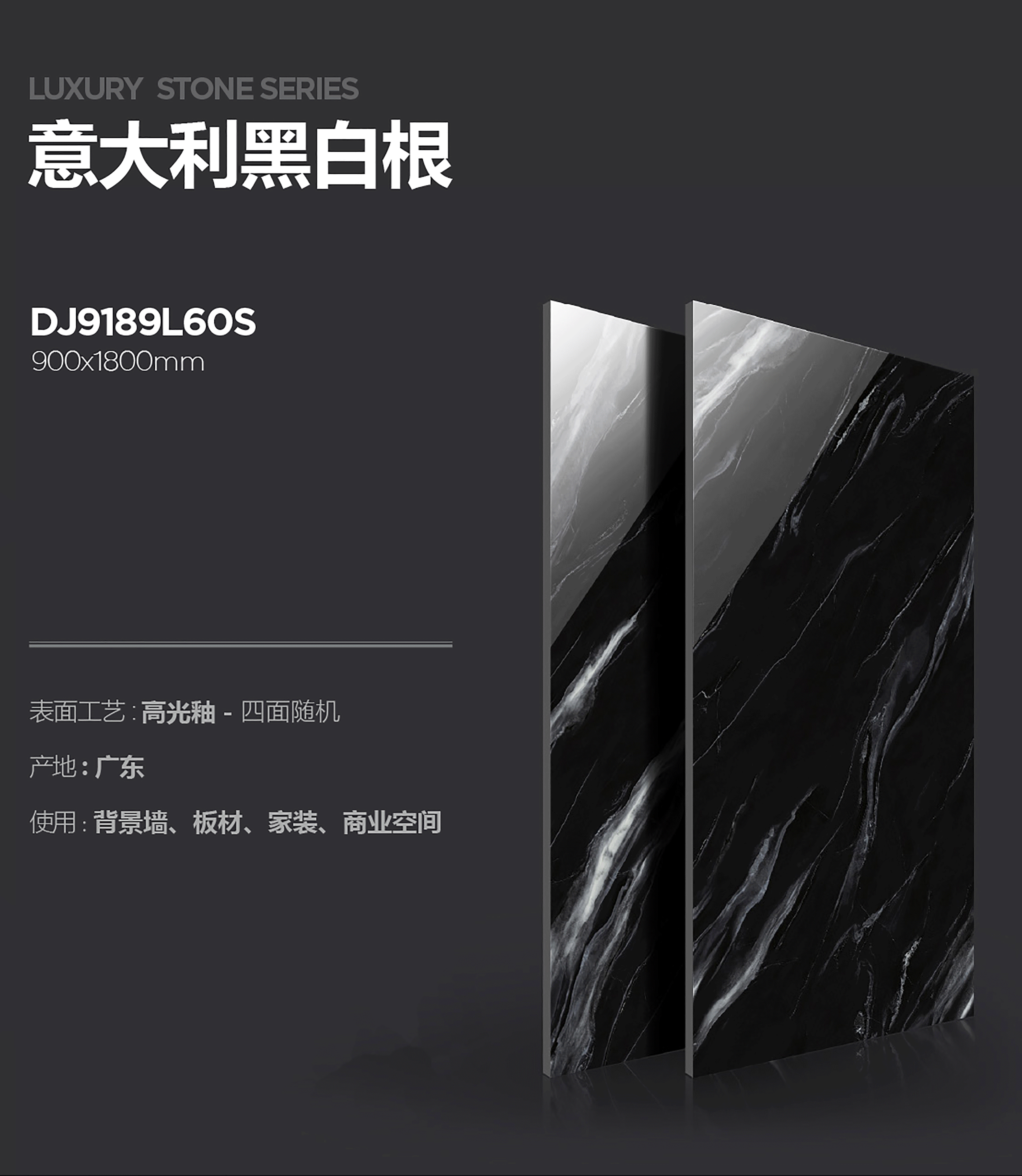DJ9189L60S