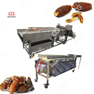 500kg/h Automatic Washing Processing Line <strong>Red</strong> <strong>Dates</strong> Palm Cleaning <strong>Machine</strong> Cleaning and <strong>Sorting</strong> <strong>Dates</strong> - Product Image 3