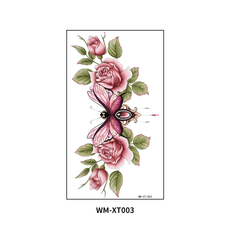 WM-XT-003