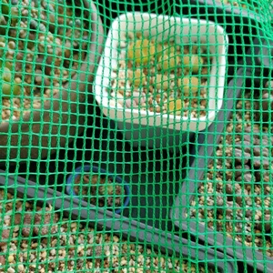 <strong>Square</strong> Mesh Construction Shade <strong>Net</strong> /Philippines Safety <strong>Net</strong> for Construction <strong>Net</strong> - Product Image 6