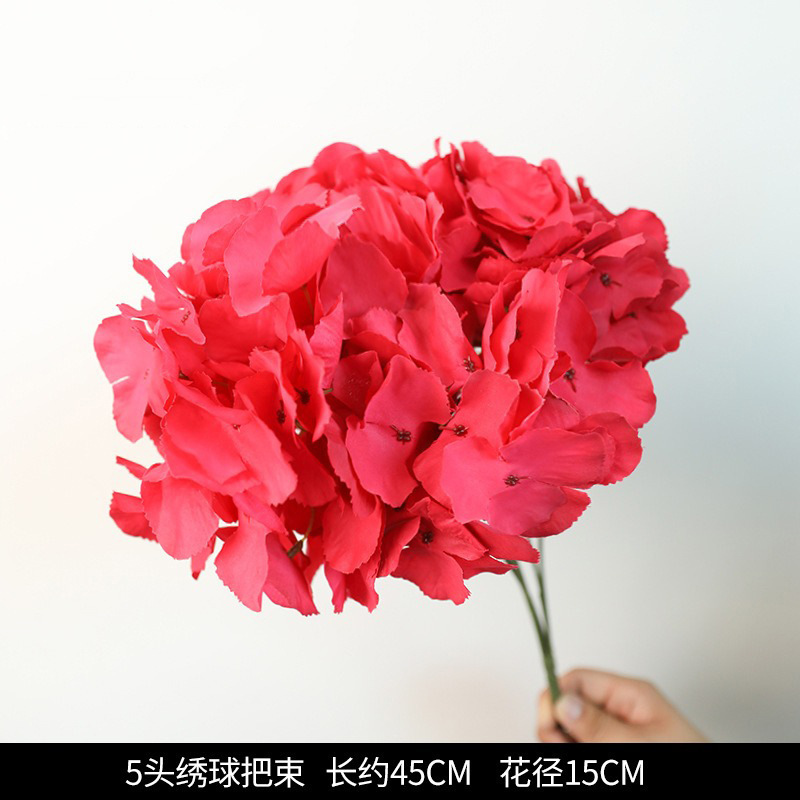 Un bouquet de 5 hortensias