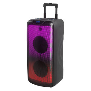 2022 Private Dual 8 Inch PA System Stereo Professional Rechargeable Speaker 100 Watt RMS Power Flame Light Party Speaker - Product Image 3