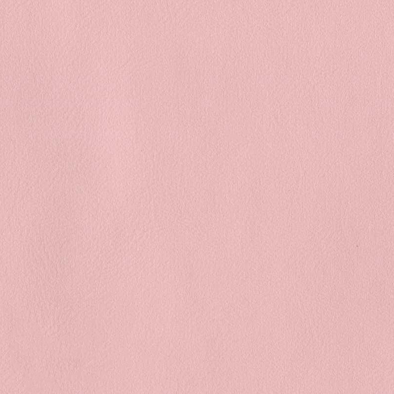 09# Rose pêche