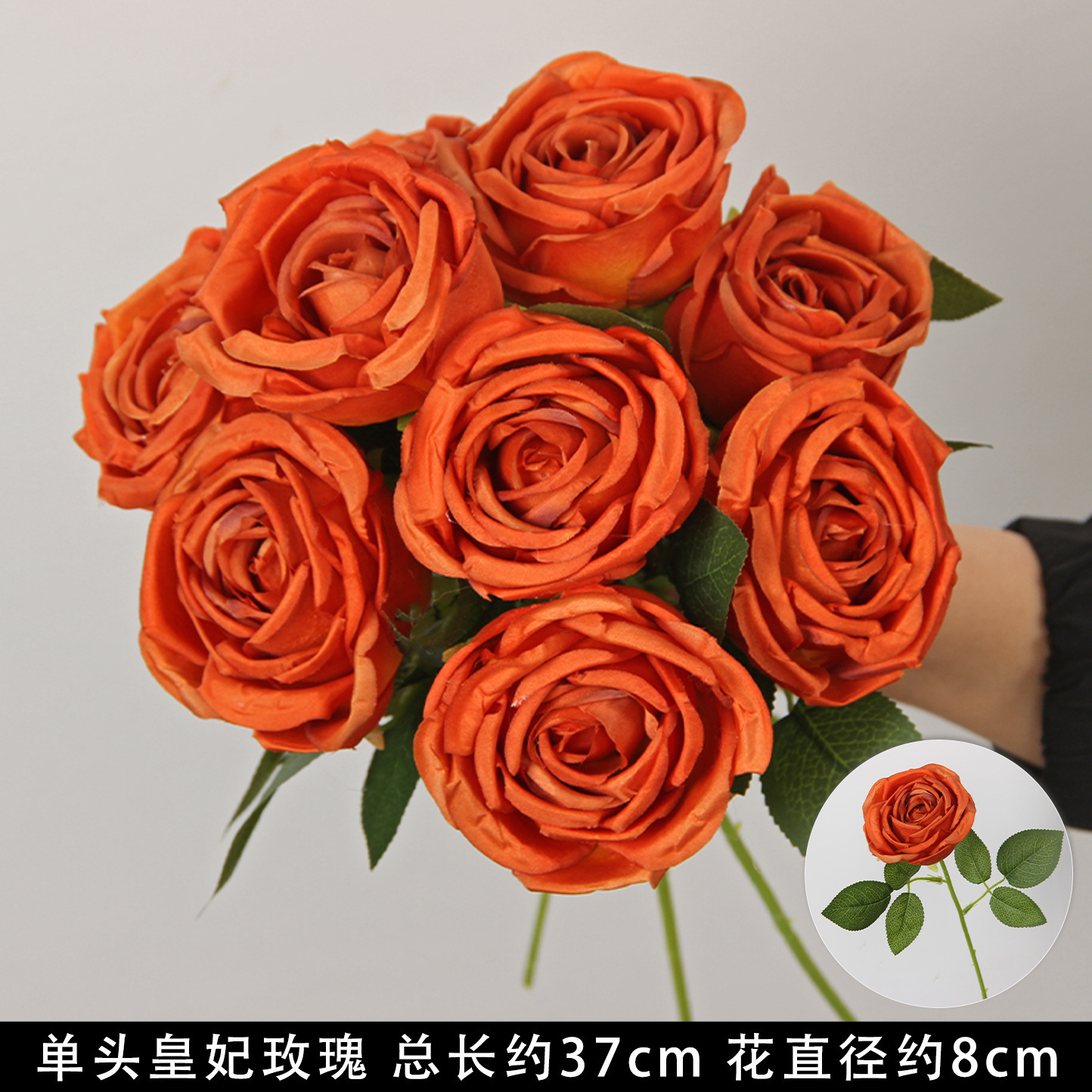 Orange single-headed royal rose