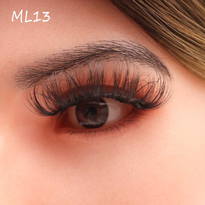 ML13