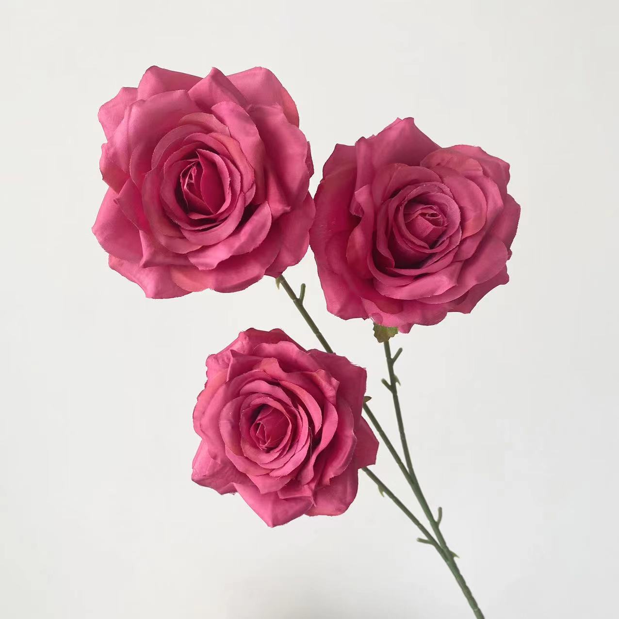 Rose garance