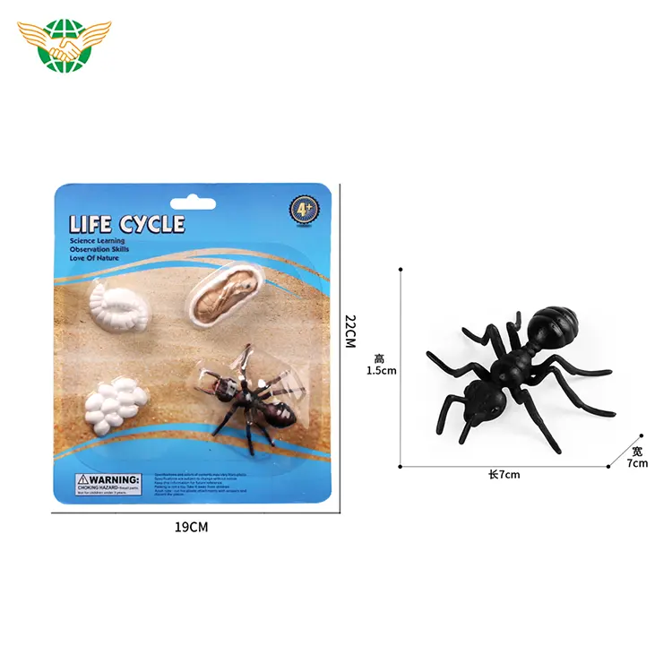 Nuevos juguetes Modelos de ciclo de vida de hormigas de ciencia natural Mini modelos de ciclo de vida de insectos Juguetes para estudiantes de escuela