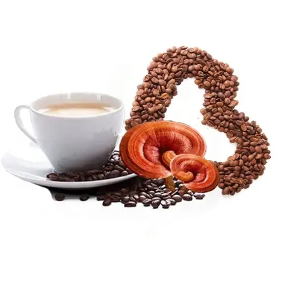 中国の特別なコーヒーを供給最高品質の霊芝モカコーヒー