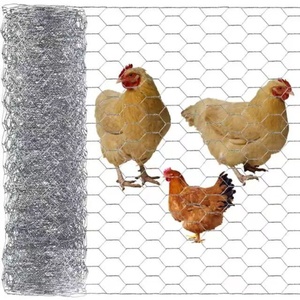 Verzinkter/PVC-beschichteter sechseckiger Drahtgitter-Hühner zaun für Geflügelfarm-Maschen netz Sechseckige Maschendraht fabrik - Product Image 2
