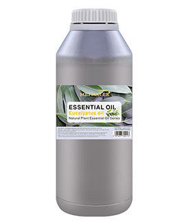 ใบยูคาลิปตัส