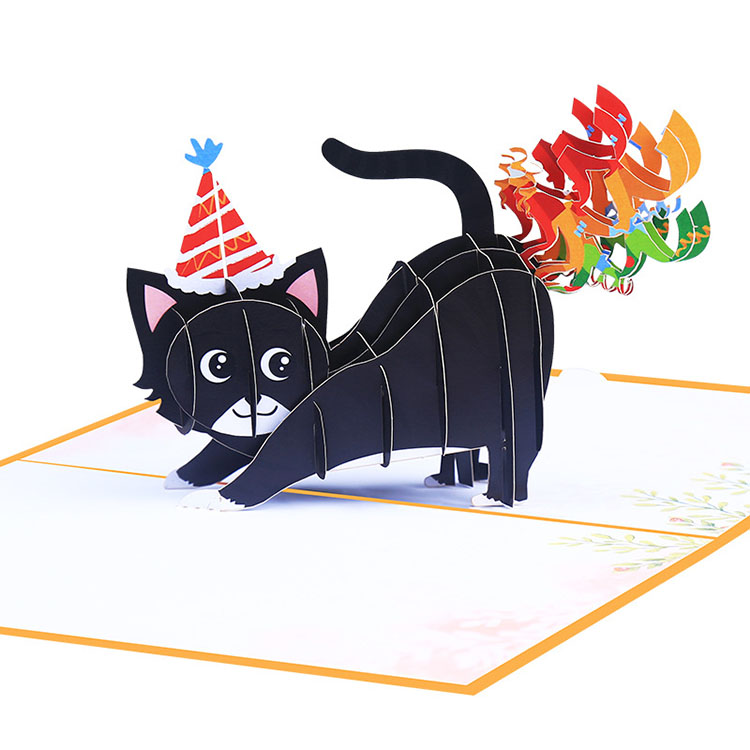 Black Cat