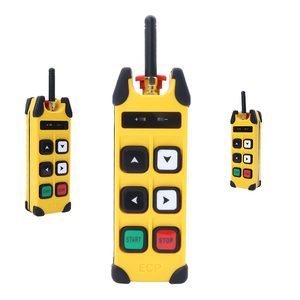Gru per carrelli elevatori a catena industriale Anti-caduta della fabbrica sorgente con telecomando Wireless ricevitore fisso - Product Image 1