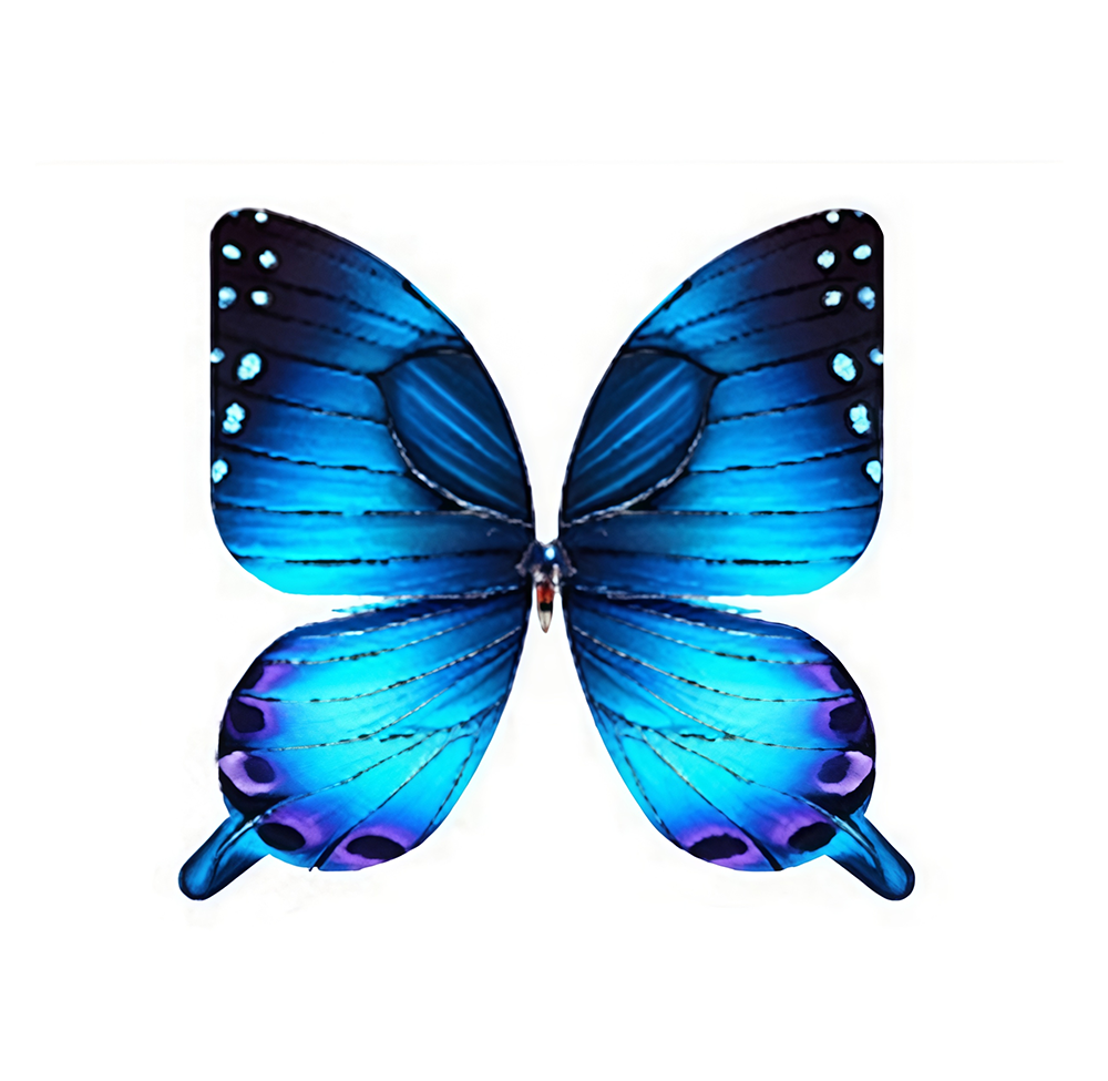 Couleur bleu-violet