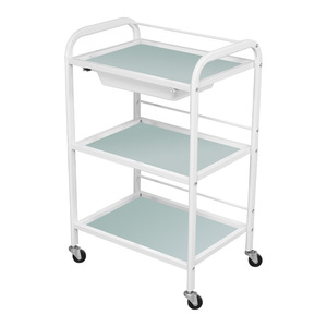 High Quality Medical Beauty Salon Cart Small Bubble Special Beauty High-end Equipment Base Storage Shelf Large <strong>Trolley</strong> - Product Image 3