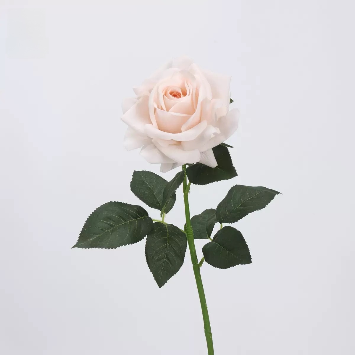 1038Rose (poudre de viande)