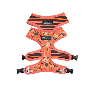 Set Tali Kekang dan Kekang Anjing Bulldog Perancis Jaring Pelangi Yang Dapat Disesuaikan Desain Mode Cetak - Product Image 3