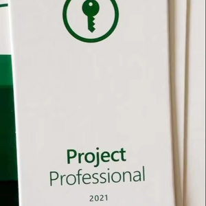 Project Pro 2021 Online-Aktivierung der Einzelhandel lizenz Global Project Professional 2021 Schlüssel code Hot Selling