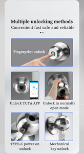 Ruang dalam ruangan baja tahan karat bulat tahan lama <span class=keywords><strong>Sensor</strong></span> sidik jari pintu pintar tombol pegangan kunci Tuya kunci pintar pintu pintu pintar - Product Image 4