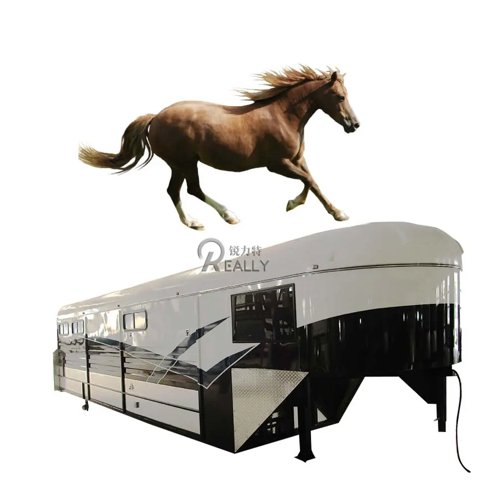 2024 Hot Sale Recommend Australia Used Horse Trailers For Sale Transport Trailer Two Axls Divider