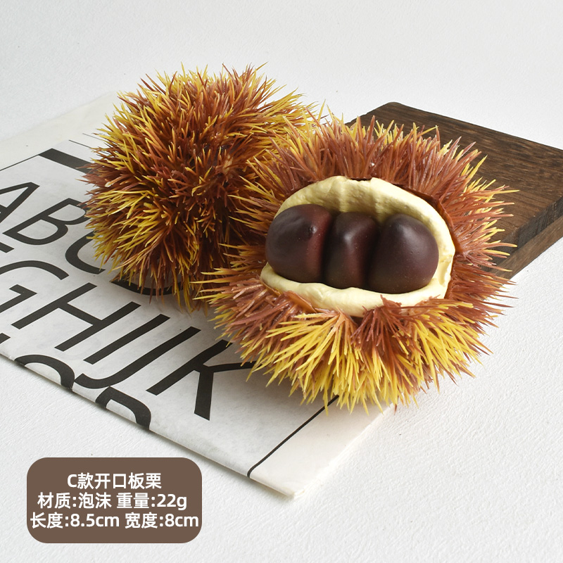 Type C open chestnut