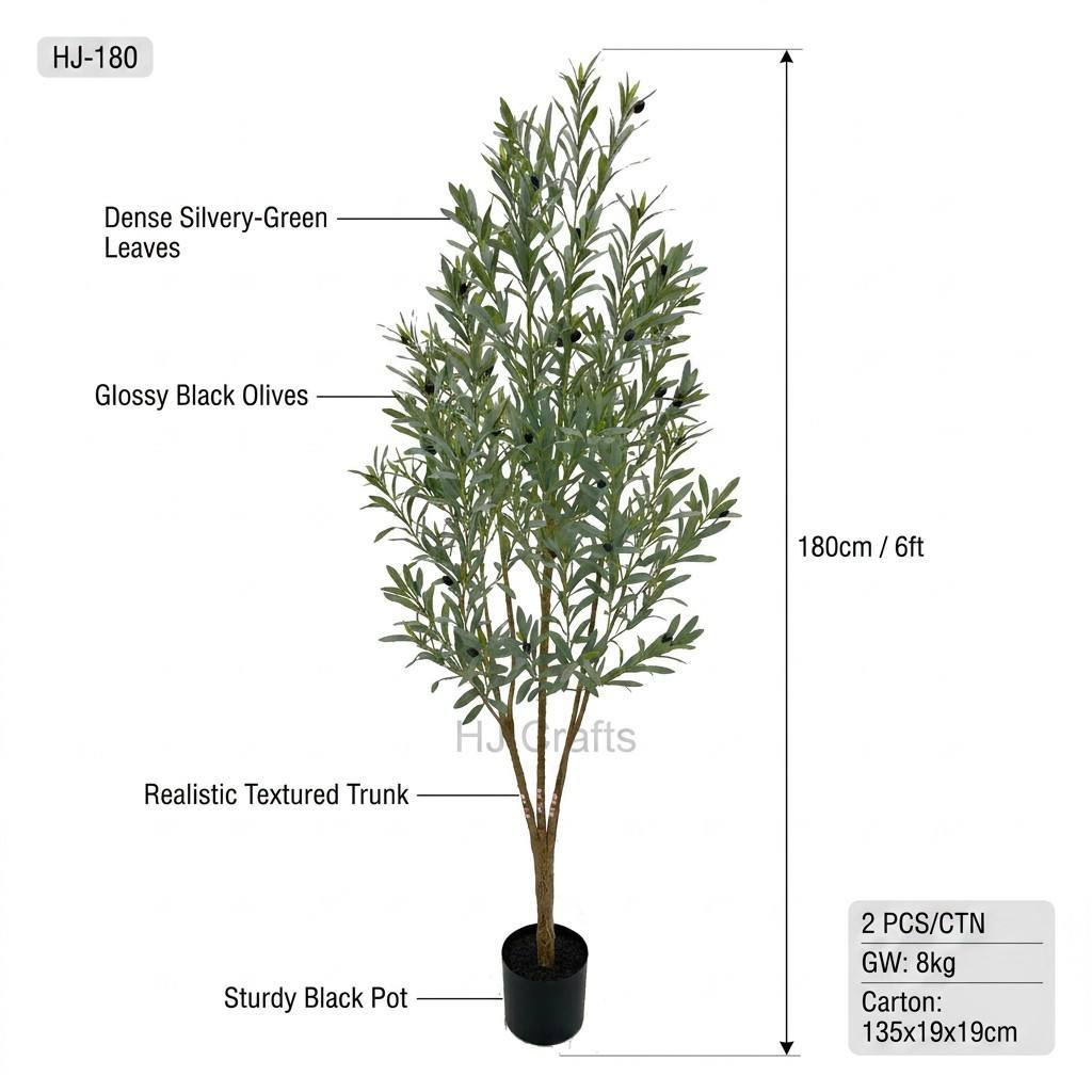 180cm olive