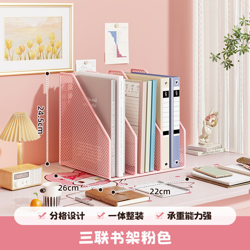 Pink Tripartite Bookshelf