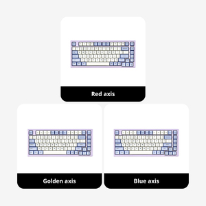 Venta al por mayor personalizado Gamer HYEKU M2PRO Series con cable inalámbrico 3 modos conectar ordenador RGB mecánico Gaming Laptop Bluetooth teclado - Product Image 4