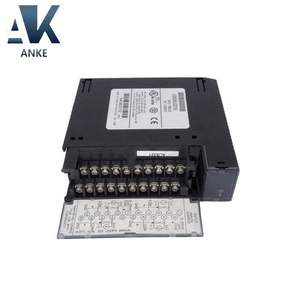 IC693ALG220 IC693ALG221 IC693ALG222 IC693ALG223 GE Fanuc Series 90-30 Módulo de entrada de voltaje/corriente analógica - Product Image 3